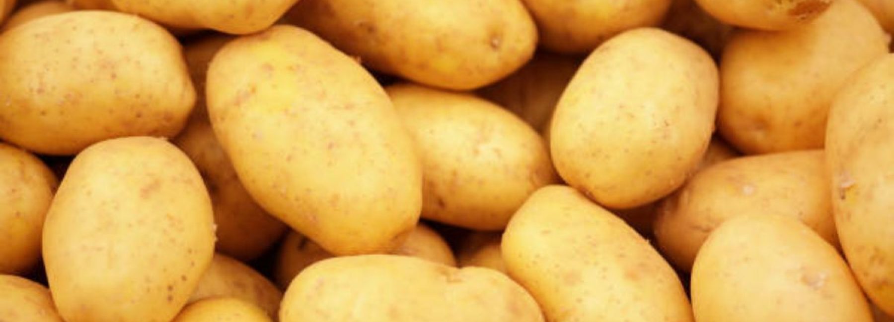 Untitled design - 2025-03-03T165406.307