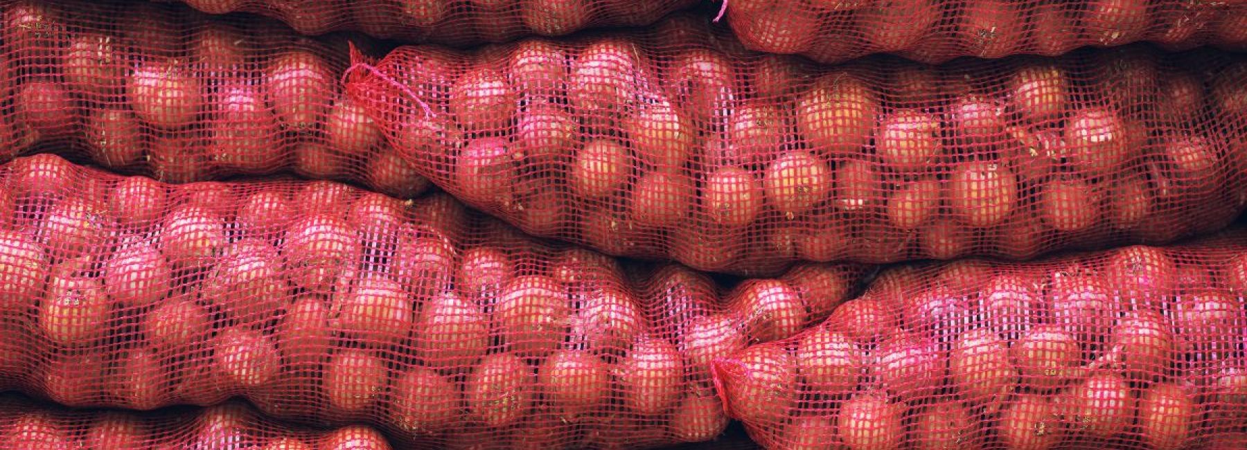 Untitled design - 2025-03-03T165519.627